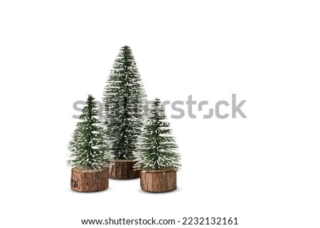 Mini Christmas trees isolated on white background.