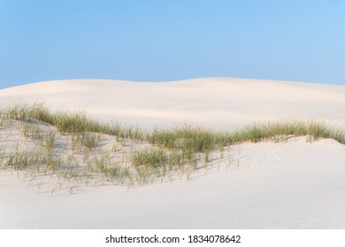 The Mini Desert At Råbjerg Mile In Denmark.