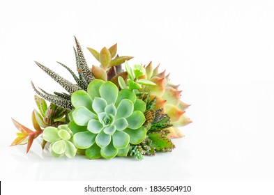 Stock Photo and Image Portfolio by panattar | Shutterstock