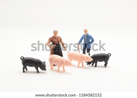 the  mini of farmer with the pigs