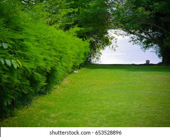 Mini Garden With Bamboo Tree