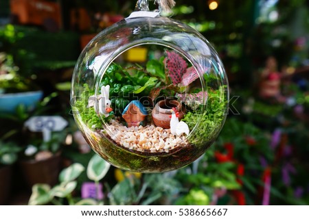 Mini garden in glass plant terrarium