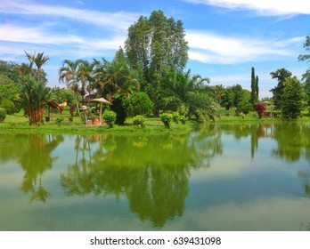 Mini Garden In Kampung Padang Cempedak Tasek Gelugor Penang Malaysia..with Green Scenery And Blue Sky