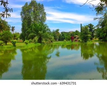 Mini Garden In Kampung Padang Cempedak Tasek Gelugor Penang Malaysia..with Green Scenery And Blue Sky