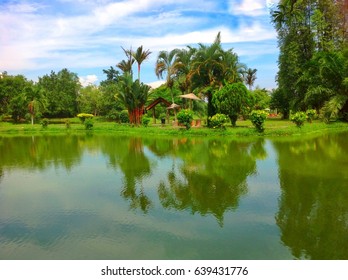 Mini Garden In Kampung Padang Cempedak Tasek Gelugor Penang Malaysia..with Green Scenery And Blue Sky