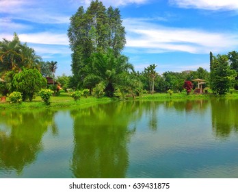 Mini Garden In Kampung Padang Cempedak Tasek Gelugor Penang Malaysia..with Green Scenery And Blue Sky