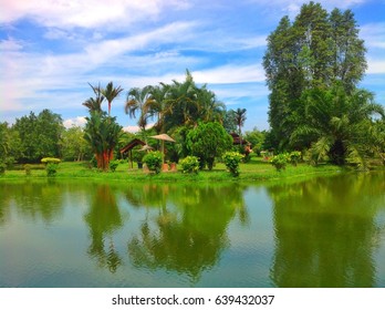 Mini Garden In Kampung Padang Cempedak Tasek Gelugor Penang Malaysia..with Green Scenery And Blue Sky