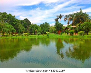 Mini Garden In Kampung Padang Cempedak Tasek Gelugor Penang Malaysia..with Green Scenery And Blue Sky