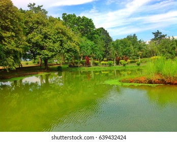 Mini Garden In Kampung Padang Cempedak Tasek Gelugor Penang Malaysia..with Green Scenery And Blue Sky