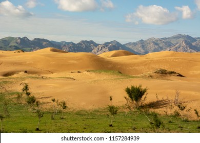 mini gobi desert in mongolia