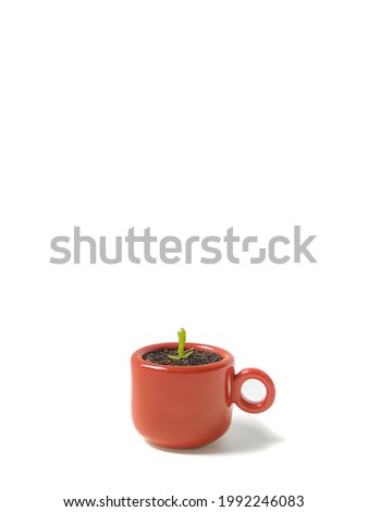 a mini mug, with a cactus sprout in it.