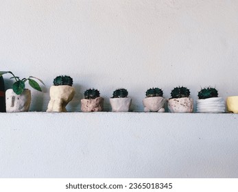 Mini plants mini pot.They’re so cute.