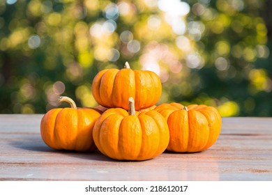 Mini Pumpkins Close Up