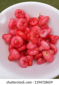 Mini Rose Apple Or Champoo