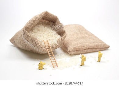 The Mini Technician Work On The Bag Of Rice 