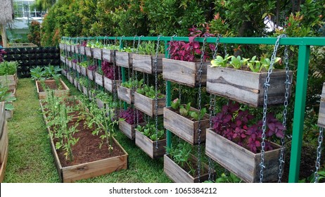 mini vegetable farm