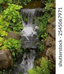Mini Waterfall Magic: Hidden Gem in the Royal Botanic Garden in Edinburgh!