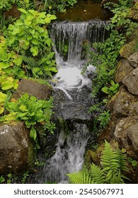 Mini Waterfall Magic: Hidden Gem in the Royal Botanic Garden in Edinburgh!