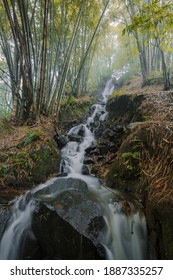 Mini Waterfall In The Middle Of A Bamboo Forest