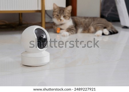 Mini white CCTV camera setting on the floor in the livingroom with domestic cut cat. Selective focus. Security with pet concept.