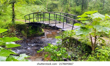 Mini Wooden Bridge Above River In The Forest