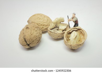 the mini worker are working open walnuts