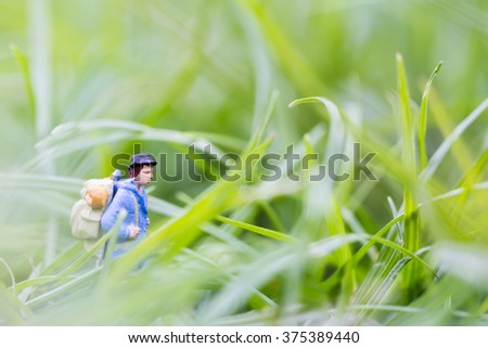 Miniature backpacker walking on the grass