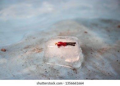 Miniature Business Man Frozen In Time Talking On His Outdated Cell Phone. Ice Man Trapped By Modern Technology. Boss Or Employee Is Left Out In The Cold. Problems Working In Tech. Man Chilling Out.