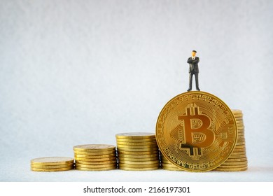 3,127 Miniature bitcoin Images, Stock Photos & Vectors | Shutterstock