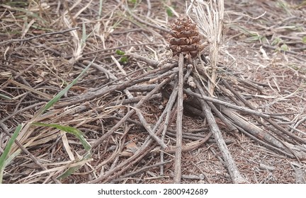 miniature campfire setup using pine cone