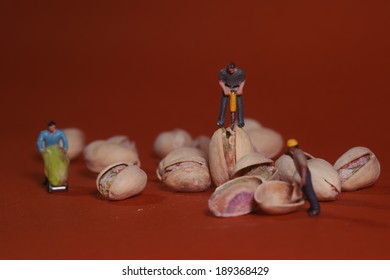 Miniature Construction Workers in Conceptual Food Imagery With Pistachio Nuts - Powered by Shutterstock