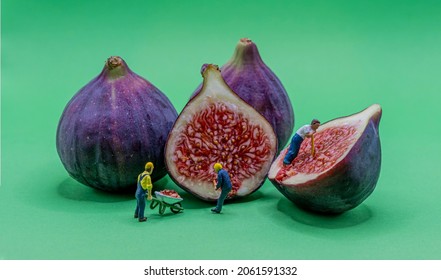 Miniature construction workers digging inside figs 