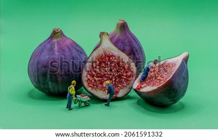 Miniature construction workers digging inside figs 
