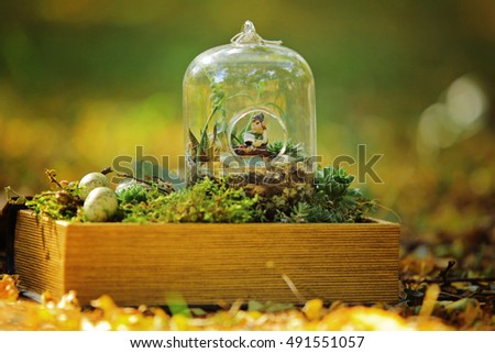 Miniature Fairy garden with reading elf, succulents, moss in a glass jar plant terrarium, abstract blur plants on background. Into the Woods, fairy tales & mysterious creature concept. Soft focus