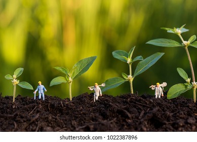 miniature farmer take care growning sprout in field