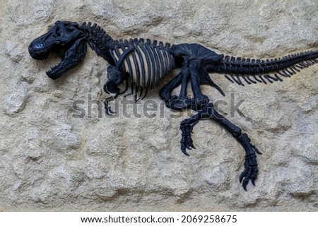 A miniature full-body fossil of a dinosaur