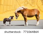 miniature horse and a draft horse nose to nose standing on yellow background. two horses