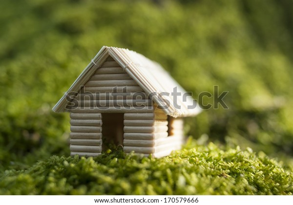 toothpick house