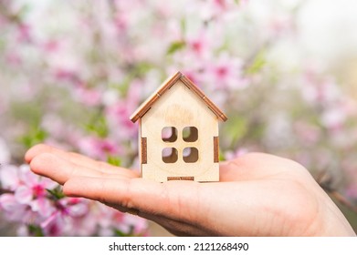 Miniature house on hand in background of flowering branch close-up and copy space. postcard for holiday. Beginning of spring.. - Shutterstock ID 2121268490