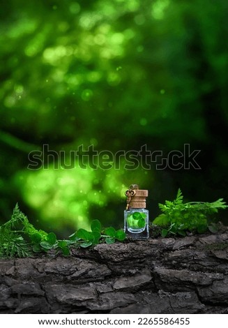 miniature key and witch glass bottle with magic elixir in clover leaves, green natural background. shamrocks, symbol of St.Patrick's day holiday. Fairy tale, secret garden. secrecy, mystique concept