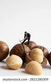 A miniature man cracking macadamia shells with a pickaxe