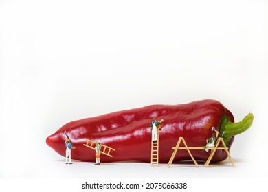 Miniature painters group with ladder and scaffolding paint a red pepper. Concept: food quality, freshness, ripe - Shutterstock ID 2075066338