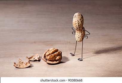 Miniature With Peanut Man And Walnut Brain