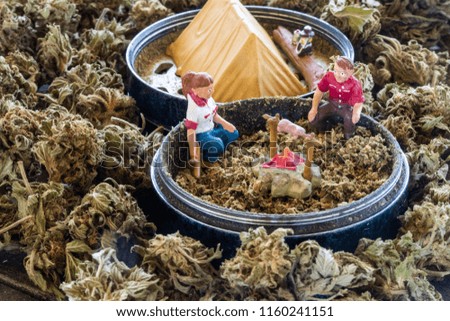 Image result for cannabis camping