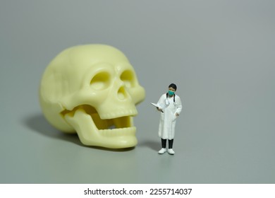 Miniature people toy figure photography. A female doctor standing beside head skull bone on grey background. Image photo