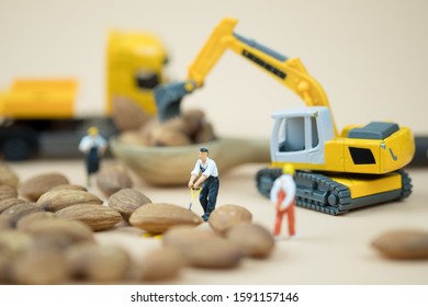 Miniature people worker move and select almonds for import and export. Agriculture concept - Powered by Shutterstock