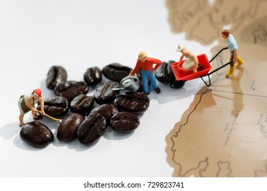 Miniature People Working With Coffee Beans. 