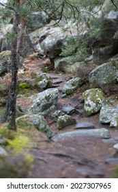 Miniature photo of a forested area near Paris with tilt-shift photography