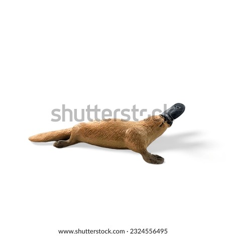 Miniature platypus animal side view isolated on white