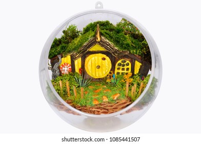 Miniature Plexiglas terrarium with plants, woods and moss, handmade with natural recycling materials with ladybird in the form of an architectural model or dioramas